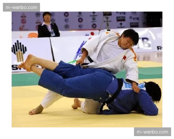 以色列柔道协会宣布与阿联酋柔联建立长期合作训练机制 以色列柔道协会宣布与阿联酋柔联建立长期合作训练机制